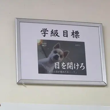 Profile image of イ・シン