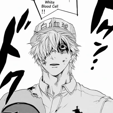 Profile image of White Blood Cell