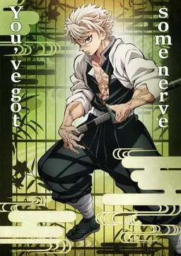 Profile image of Sanemi Shinazugawa