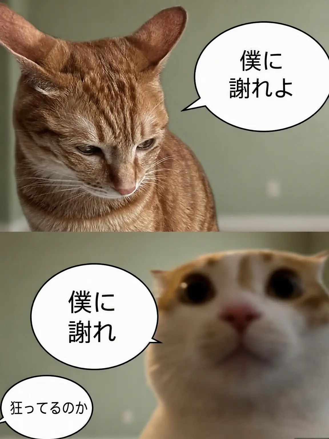 Longggg의 情け無用な街で情けを！