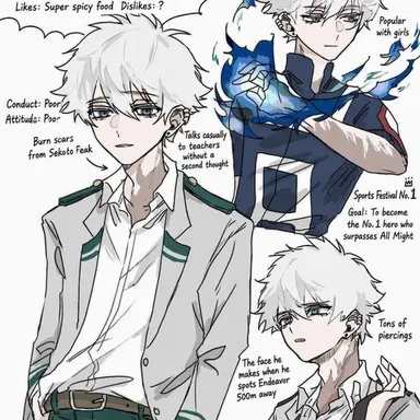 Profile image of Toya Todoroki