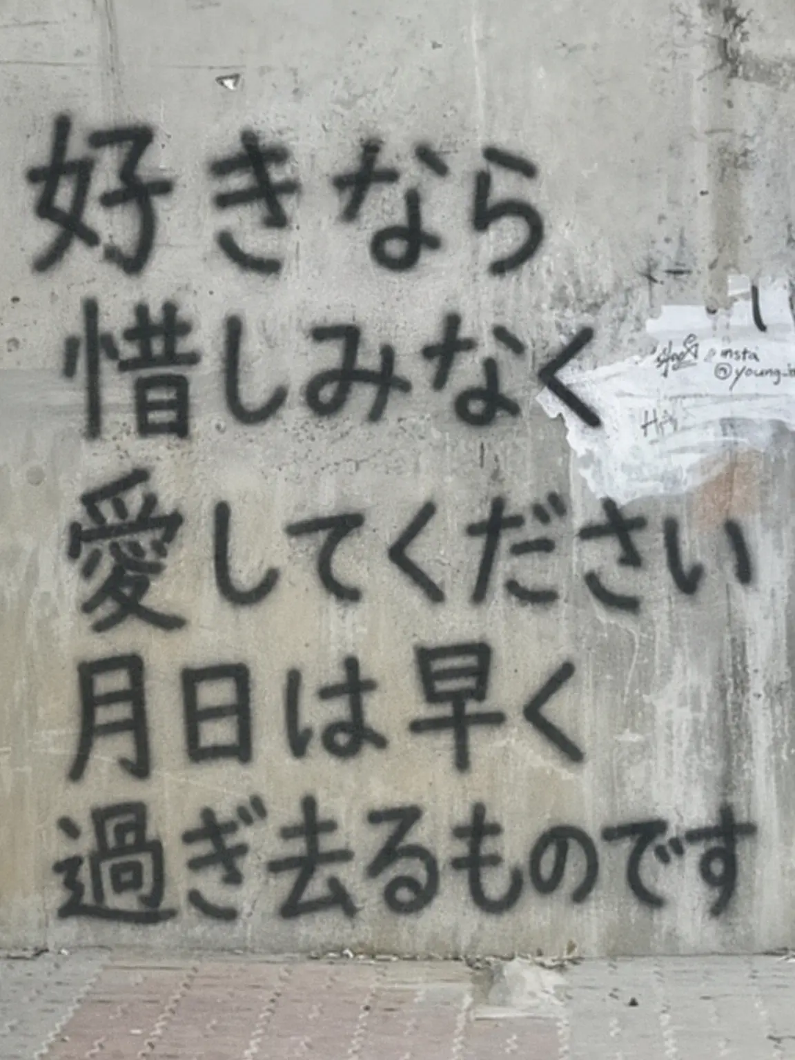L.eg_05의 君は花のまま枯れずに永遠に綺麗でいて