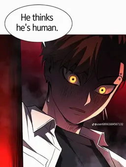 Profile image of Shin