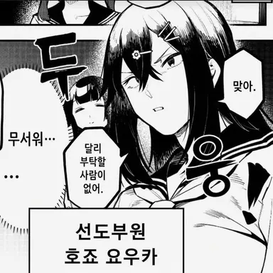 Profile image of 호죠 요카