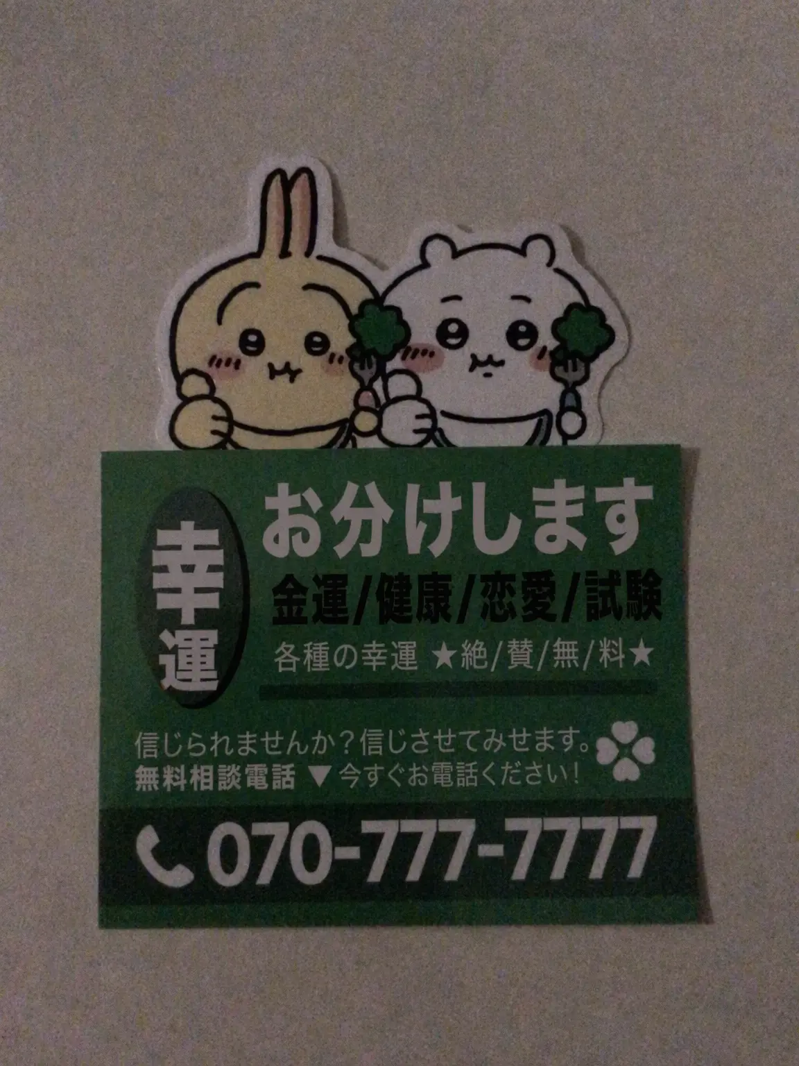 gmltn7의 外愛