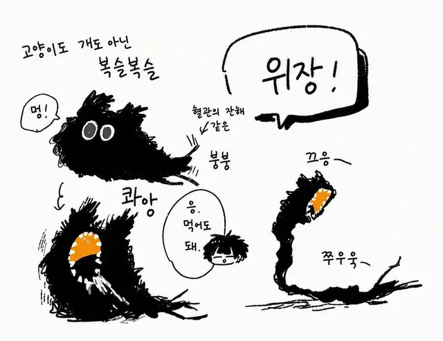 Profile image of 이브쿠로