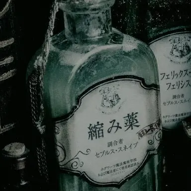 Profile image of セブルス・スネイプ