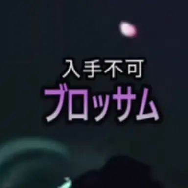 Profile image of ブロッサムユーザー