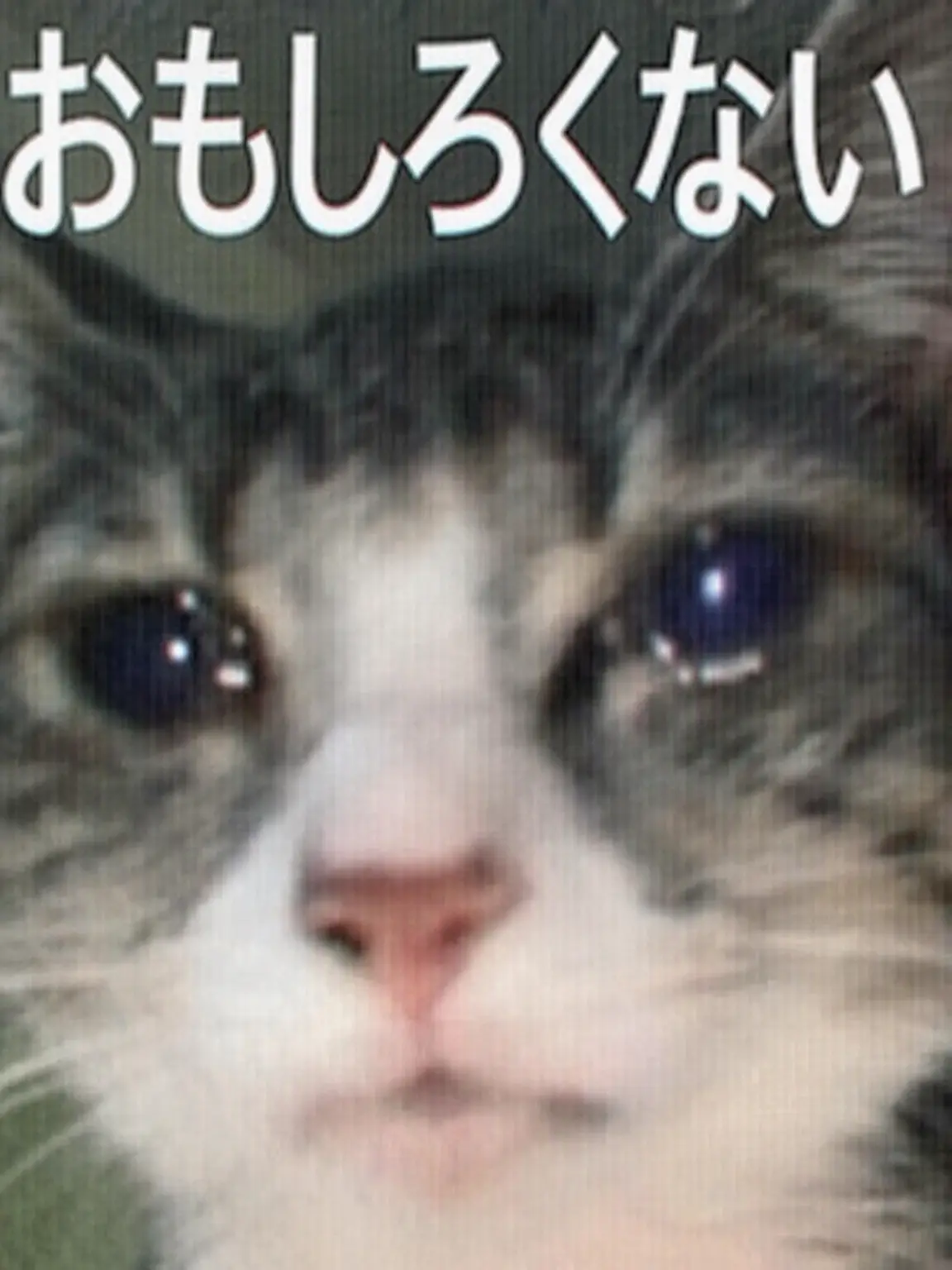 SIRCLOSETHEDOOR의 ANOTHER CUP - ああ、もう狂いそう！！！
