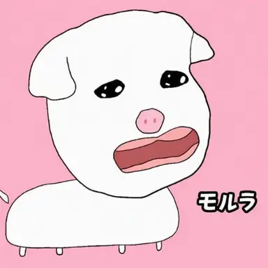Profile image of モルラ