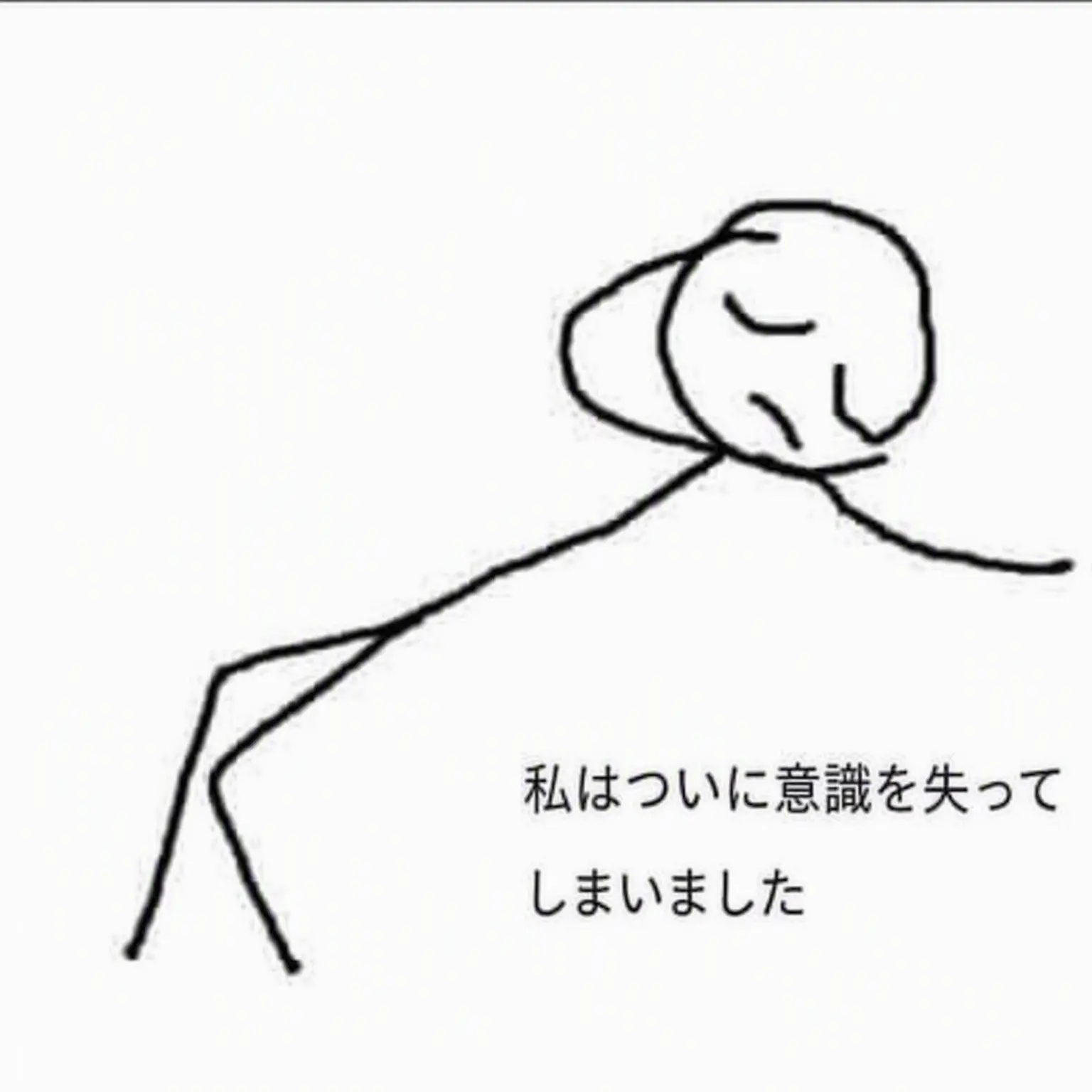 jxyu의 ピューわん＆シェにゃん