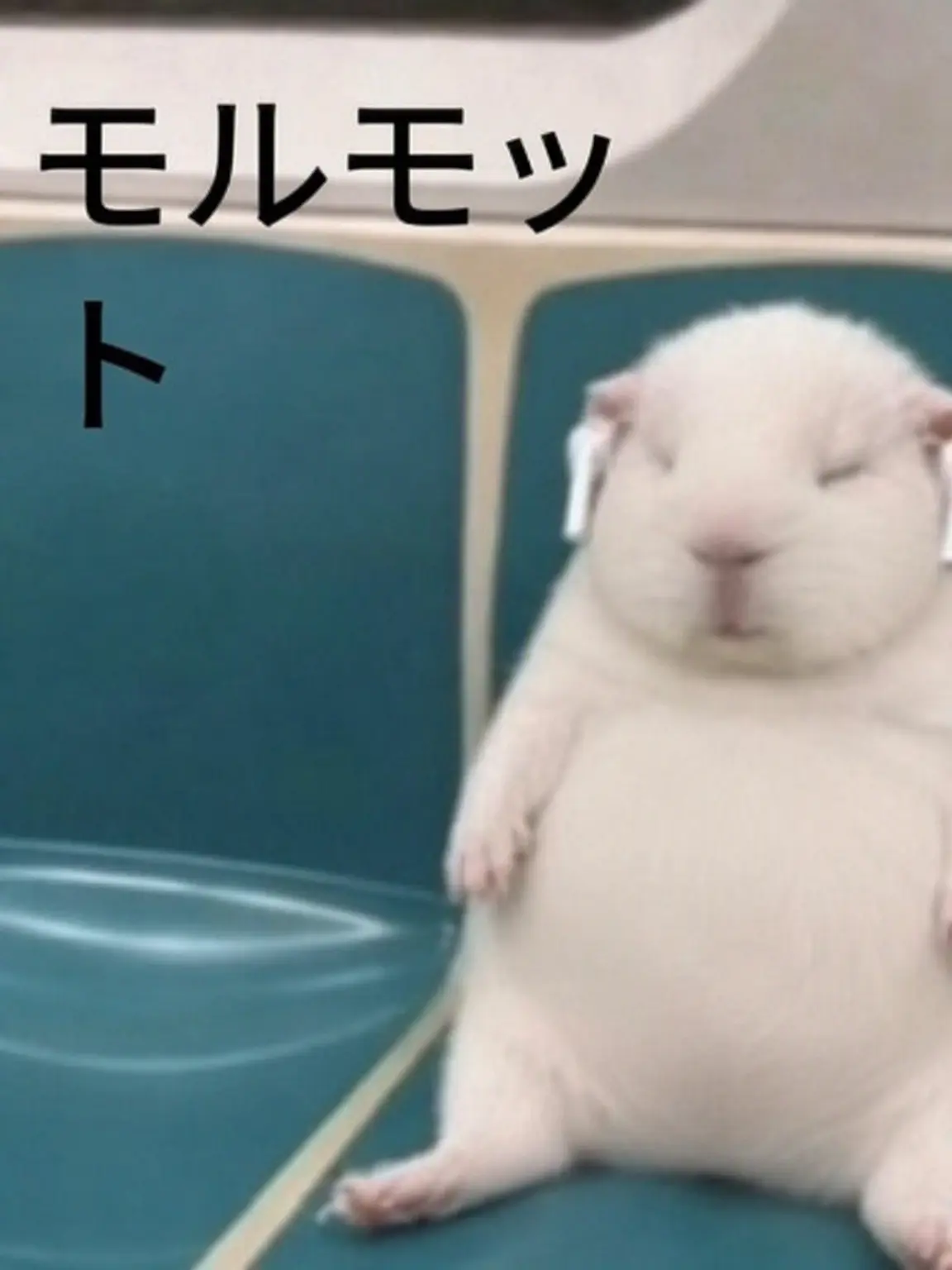 11suq의 個人用