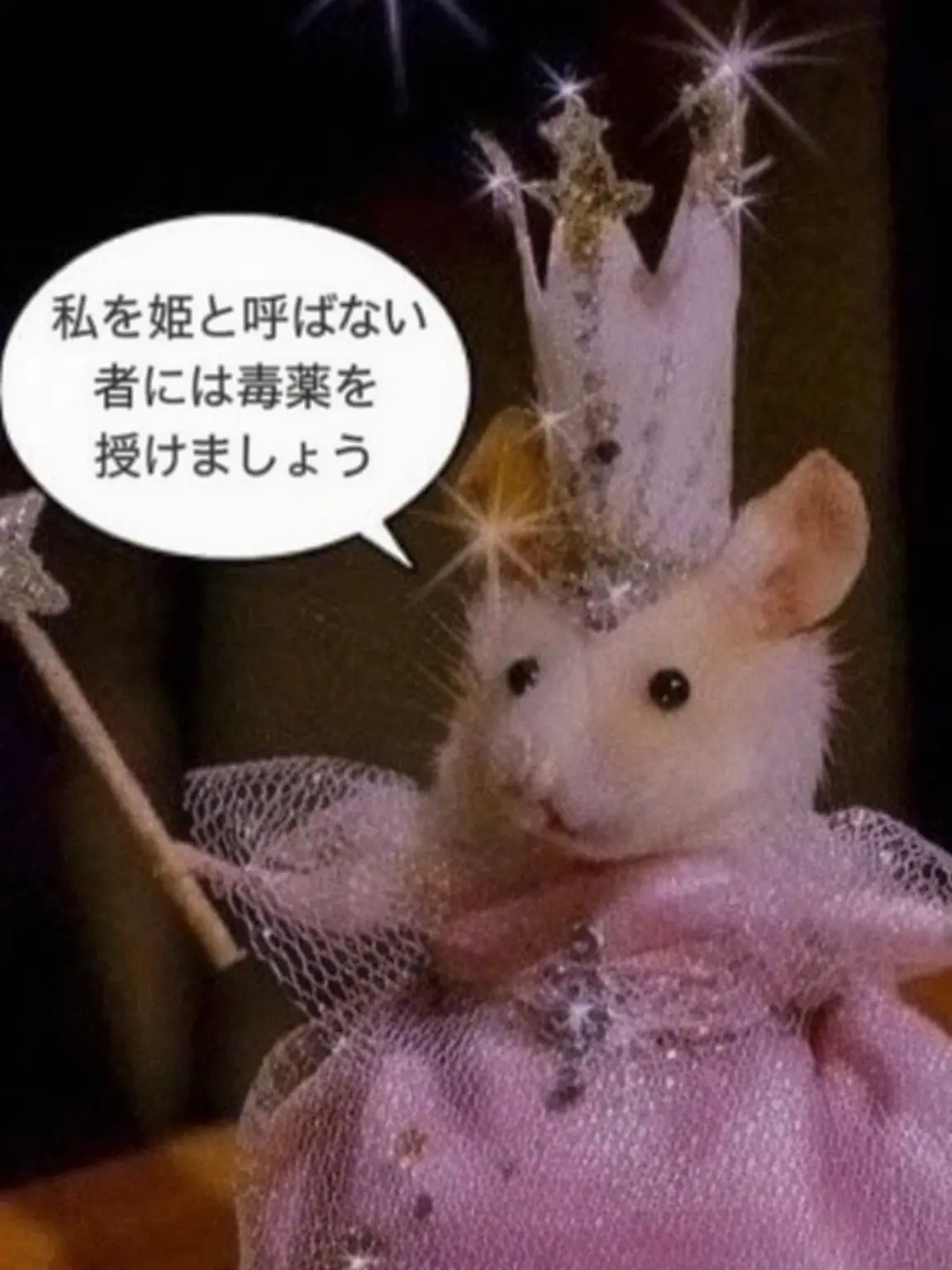 NeedyBrug9839의 大混乱の同居生活