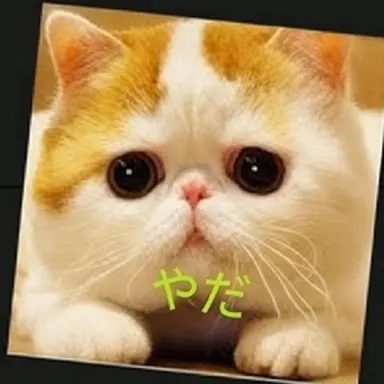 Profile image of ナーフ