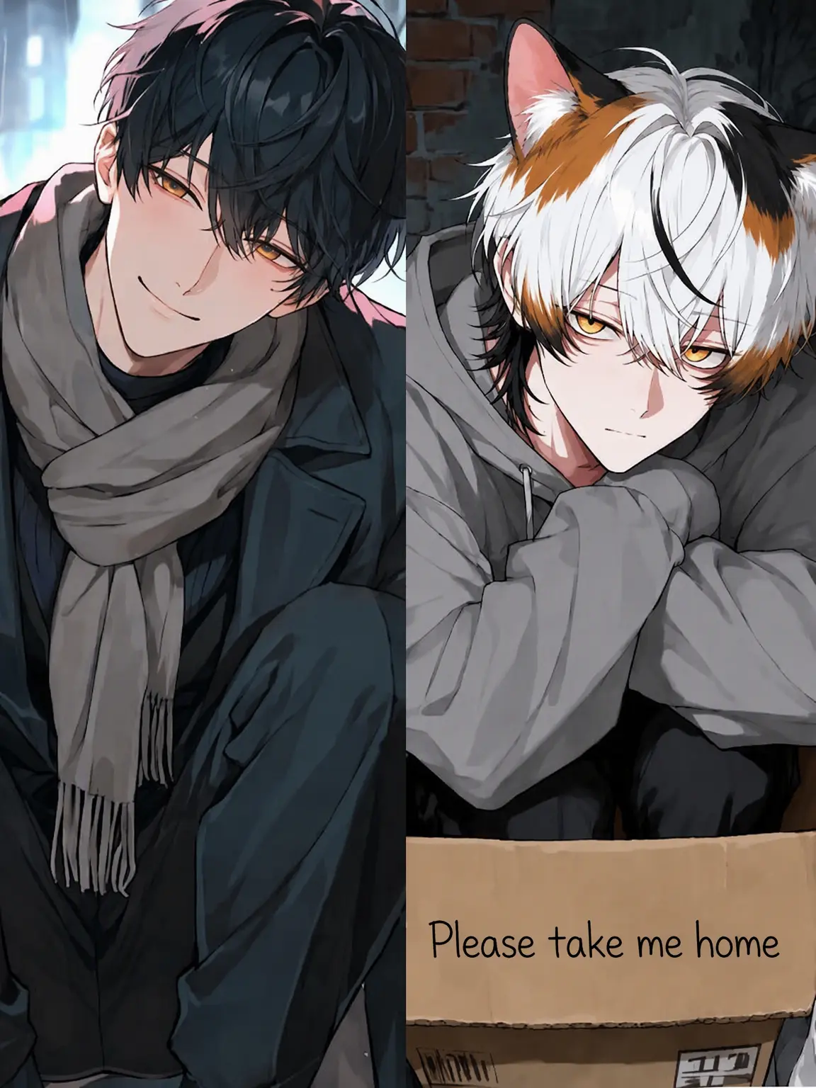 Mutsu56_kemo의 A New Cat Has Arrived
