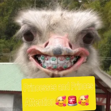 Profile image of Yeou