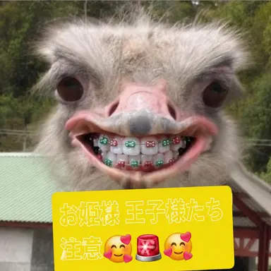 Profile image of ヨウ