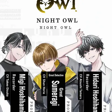 Profile image of Night Owl