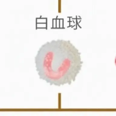 Profile image of チョン_ダウム