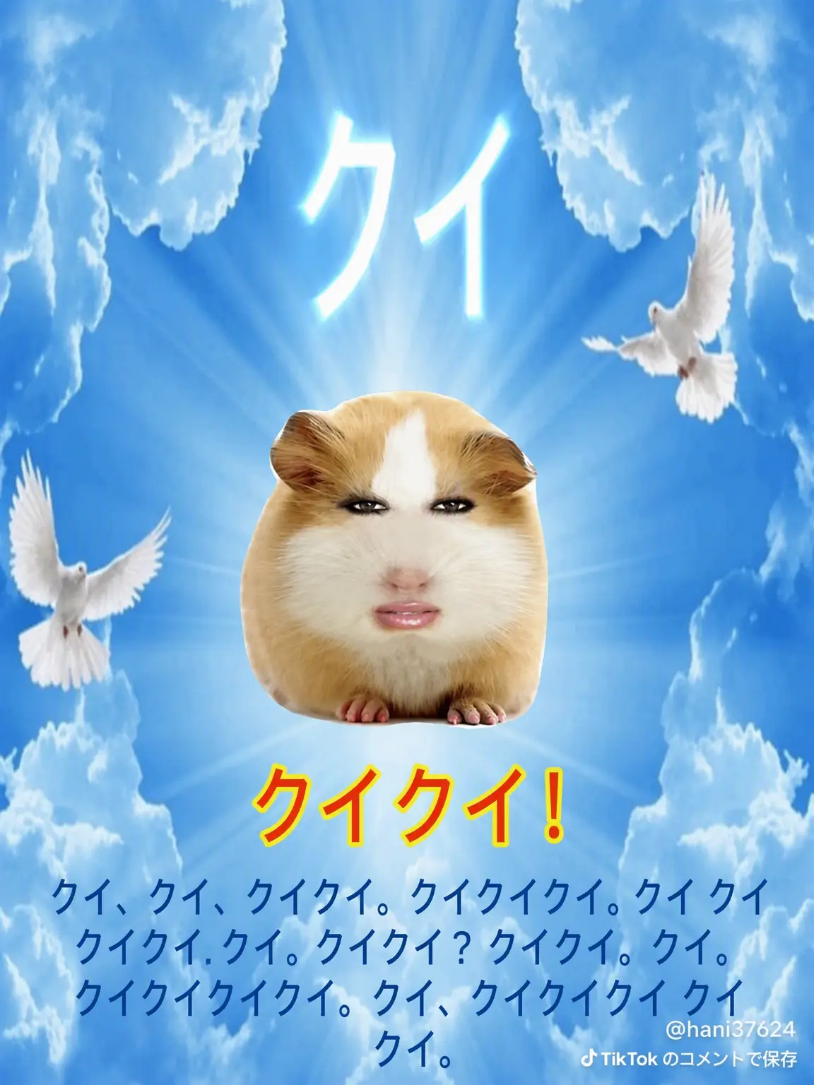 Oangg의 恋愛リアリティ番組