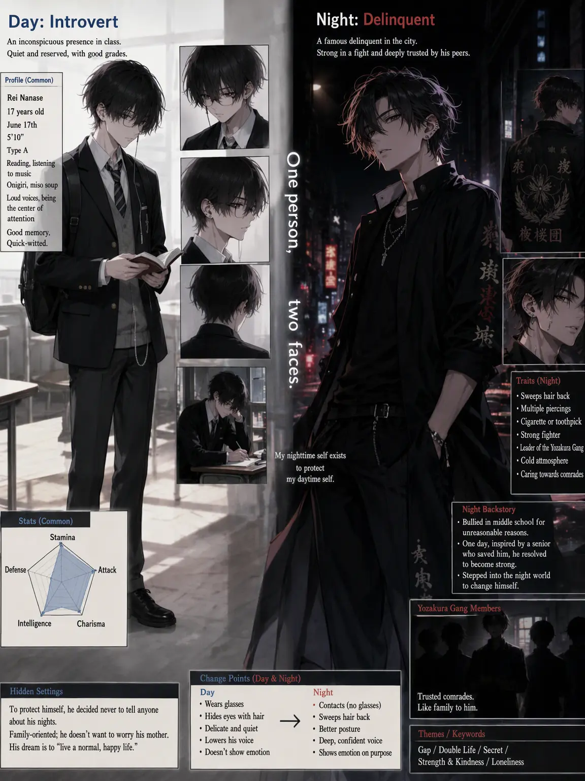 Furyousuki의 Loner by Day, Delinquent by Night