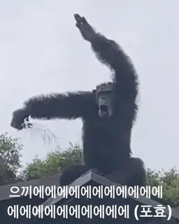 Profile image of 부리코