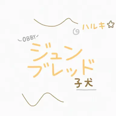 Profile image of ジュンブレッド