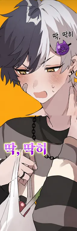 Profile image of 마제타