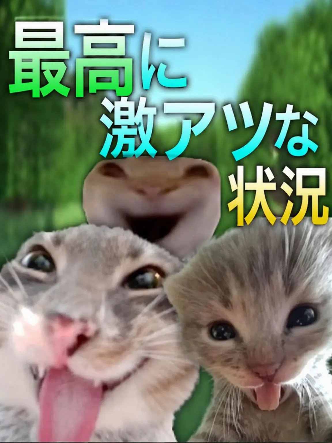 KEMKELJUK_3299의 風邪を引いたパチュリーさん...🌡