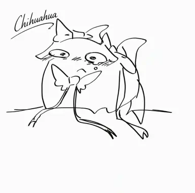 Profile image of Chihuahua
