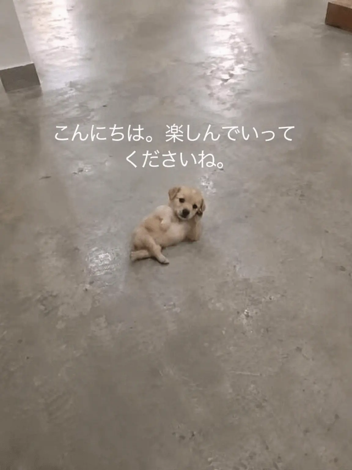 Caps_dika의 大男たち(?)