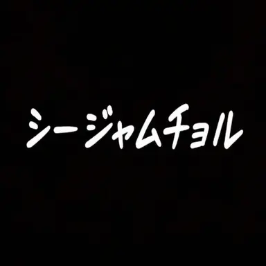 Profile image of シージャムチョル