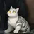 るあちゃん