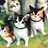 猫保育園