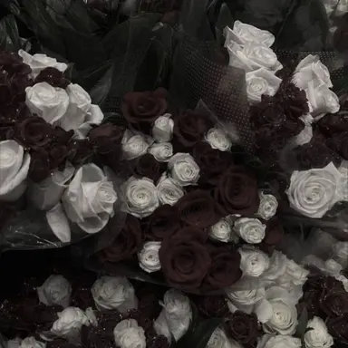 Profile image of 정희완