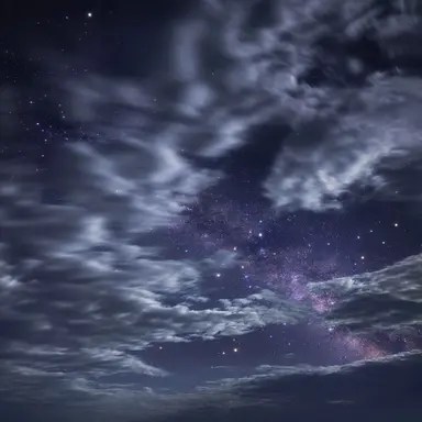 Profile image of 수르트알로기