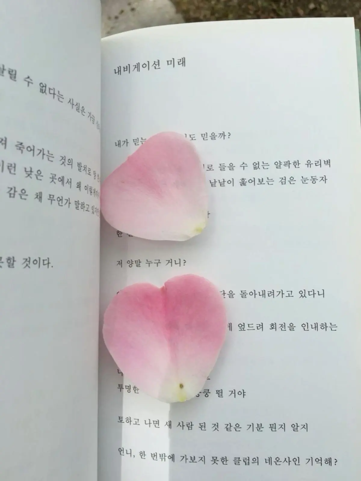 Jungoopleasemarryme의 𖦹