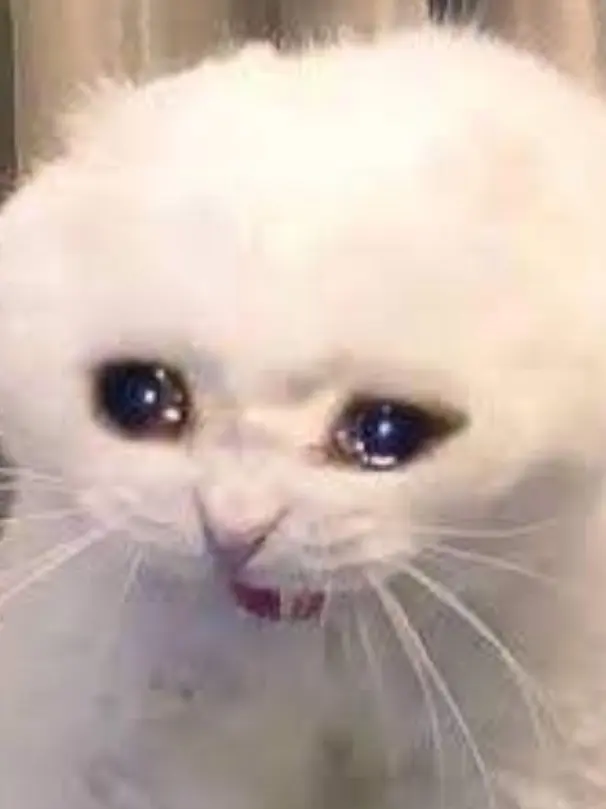 space1021의 소푸즈! {𝓈𝑜𝒻𝓊𝓈}