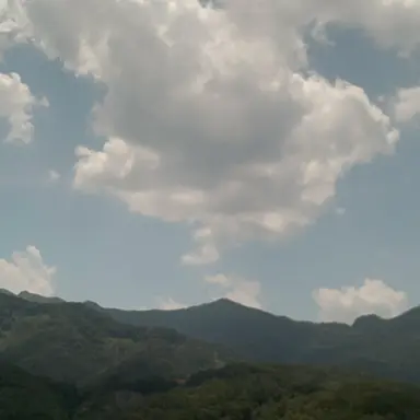 Profile image of 아름