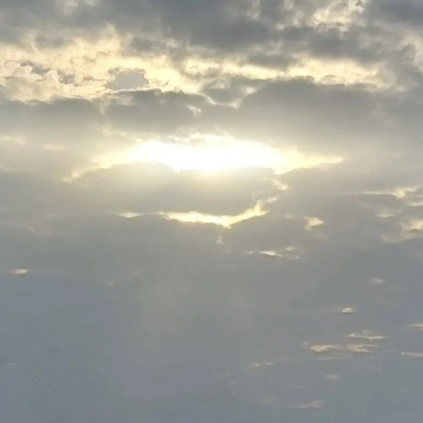 StableStand9613의 쌍흑 돌보기~