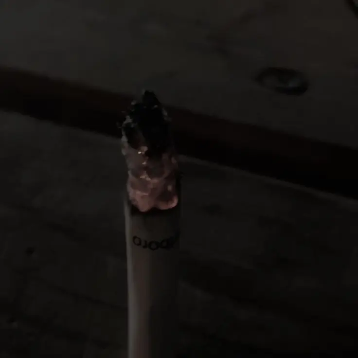 BlankPaint3087의 고립