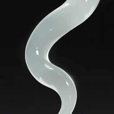 Profile image of 네비아
