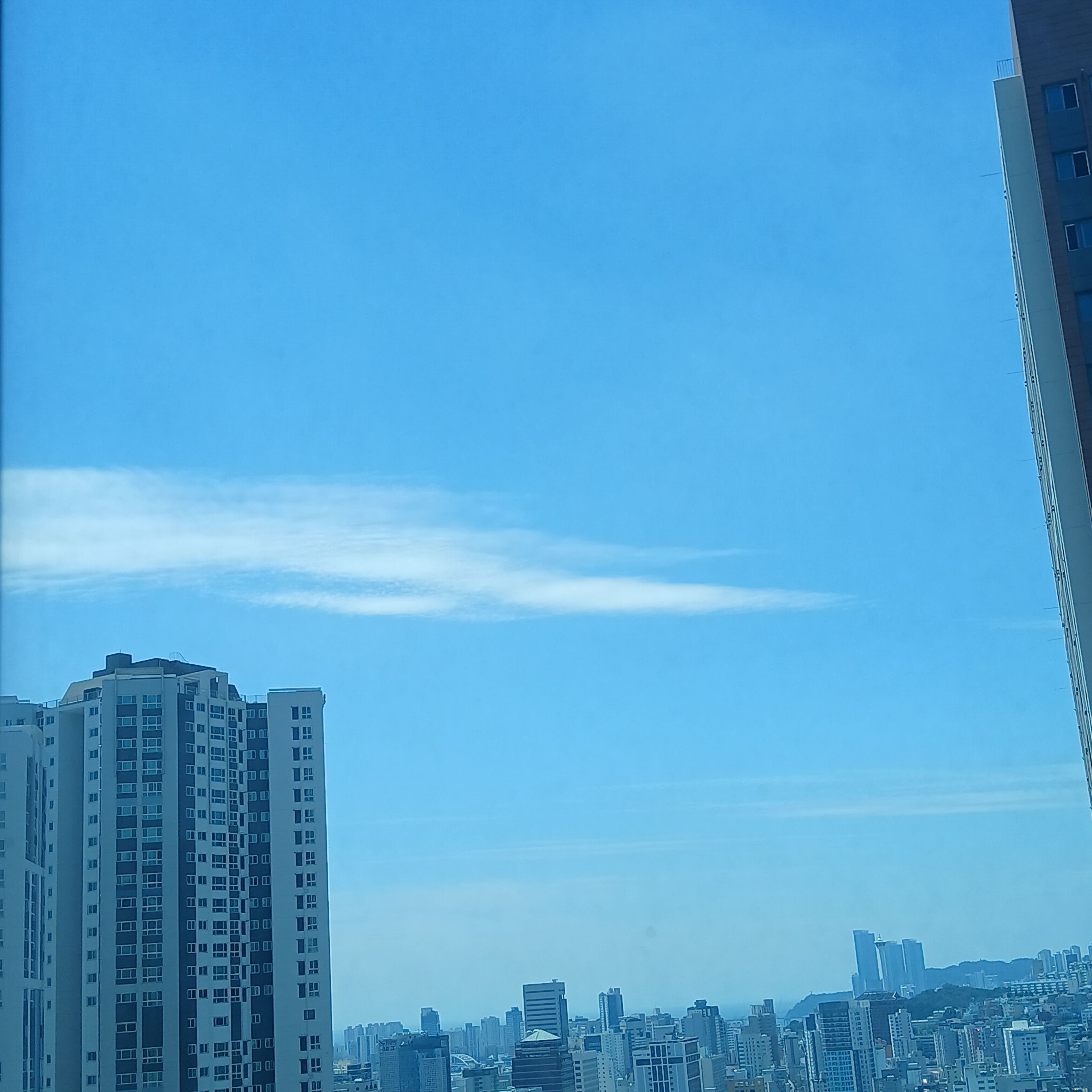 태권도 대표 이미지