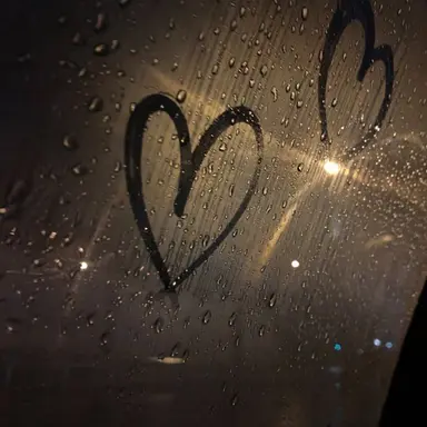 Profile image of 차범호