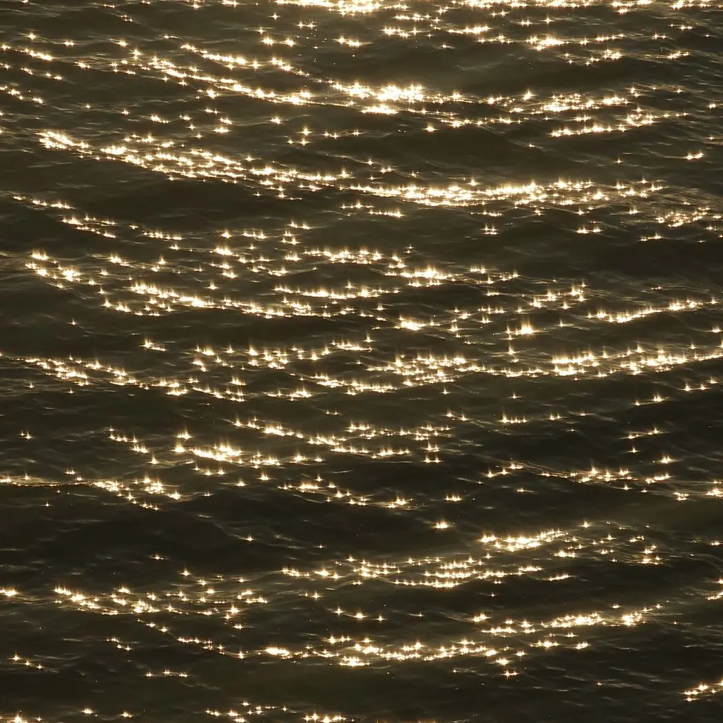 mozziyu의 닼골 파세여