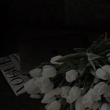 Profile image of 도소빈