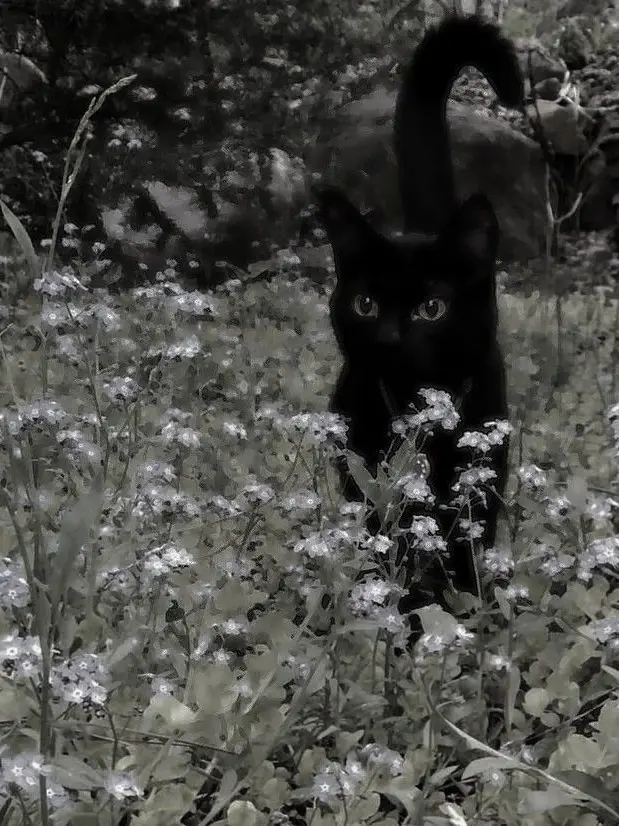 ChewyTrill2860의 僕は君の答えになりたいな