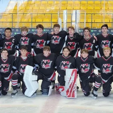 Profile image of Sabres