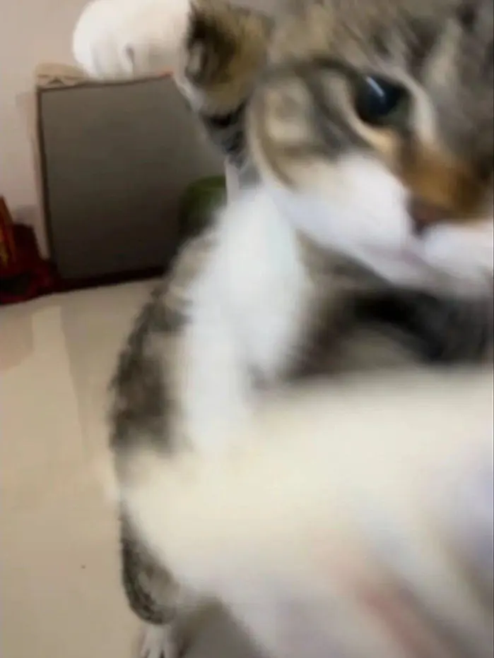 Maru_san의 ごくせん2と3！！