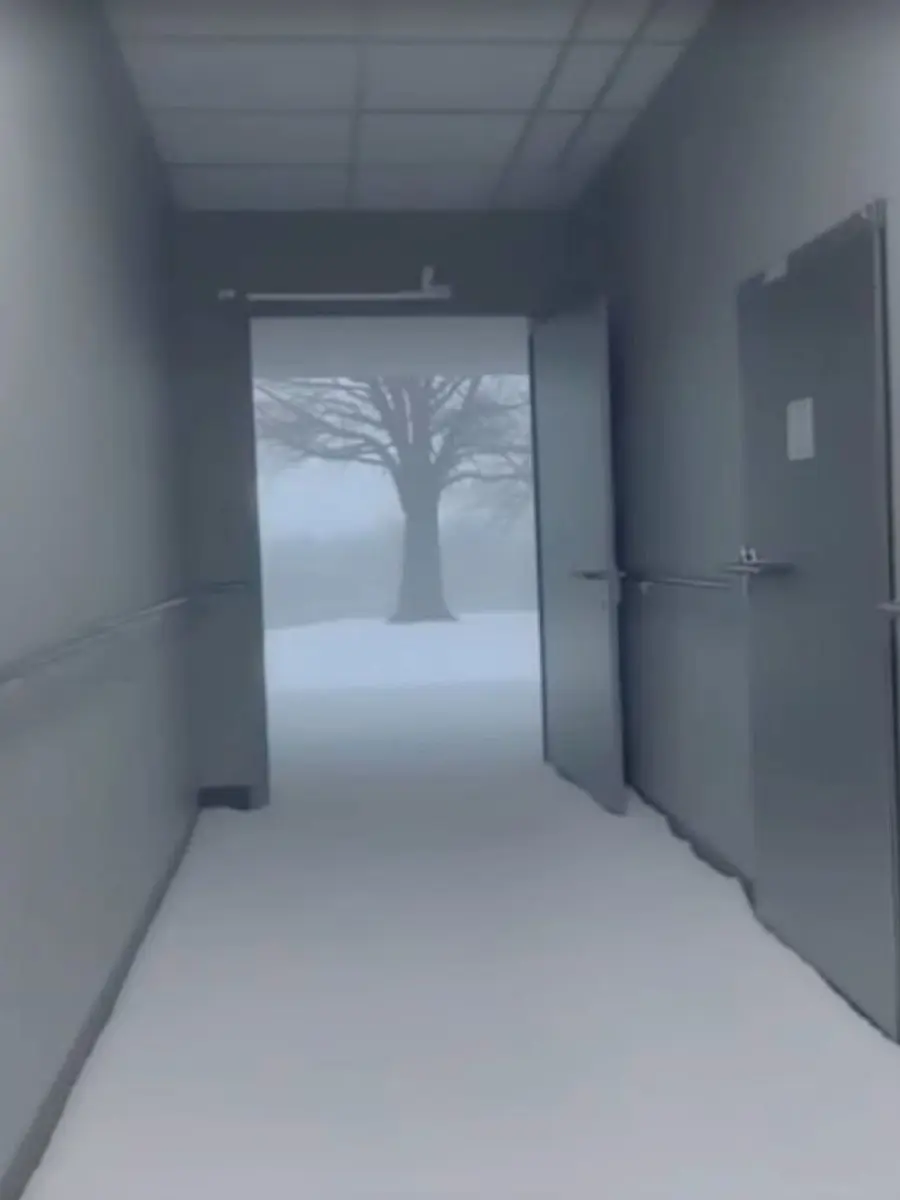 y0.hynn의 ¿